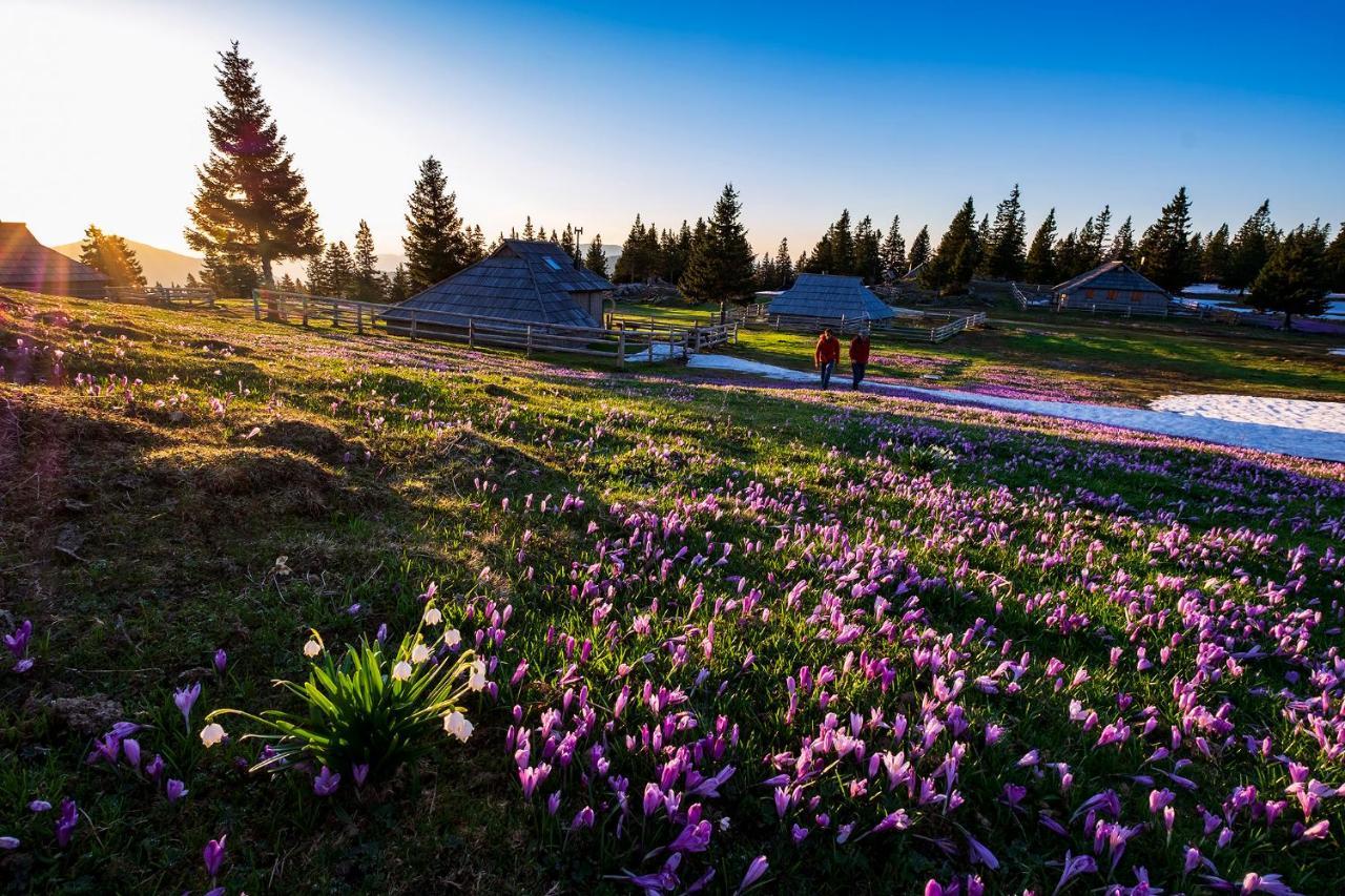 Glamping Forest Edge Kamnik Dış mekan fotoğraf