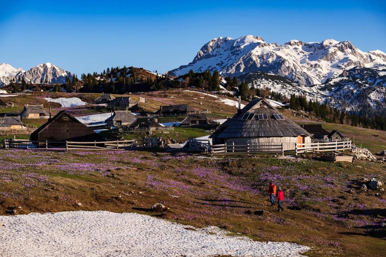 Glamping Forest Edge Kamnik Dış mekan fotoğraf